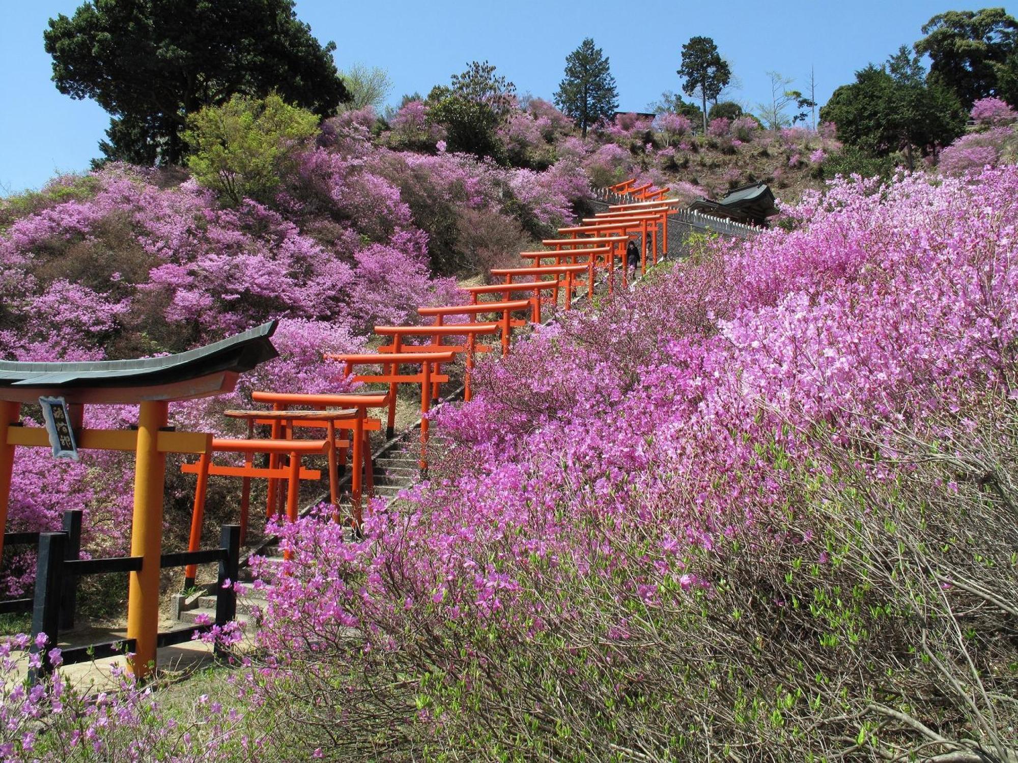 Mercure Kyoto Miyazu Resort & Spa Eksteriør bilde